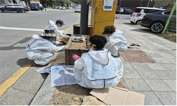 황연봉사단·황연동 행정복지센터,
가로화단 정비로 마을 가꾸기 실시