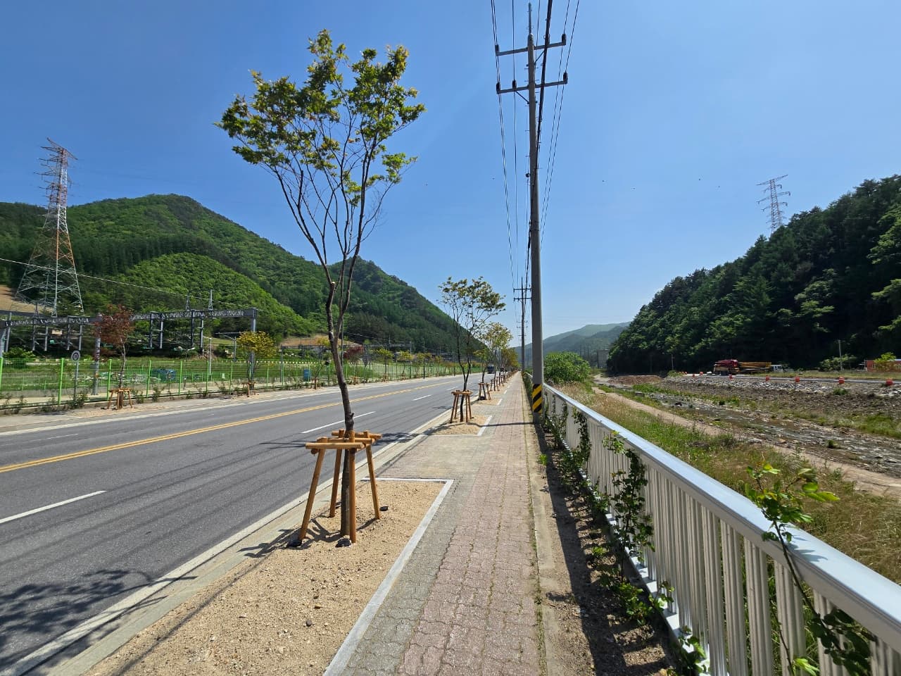 태백시, 동백산역 일대에 단풍나무 78그루 식재