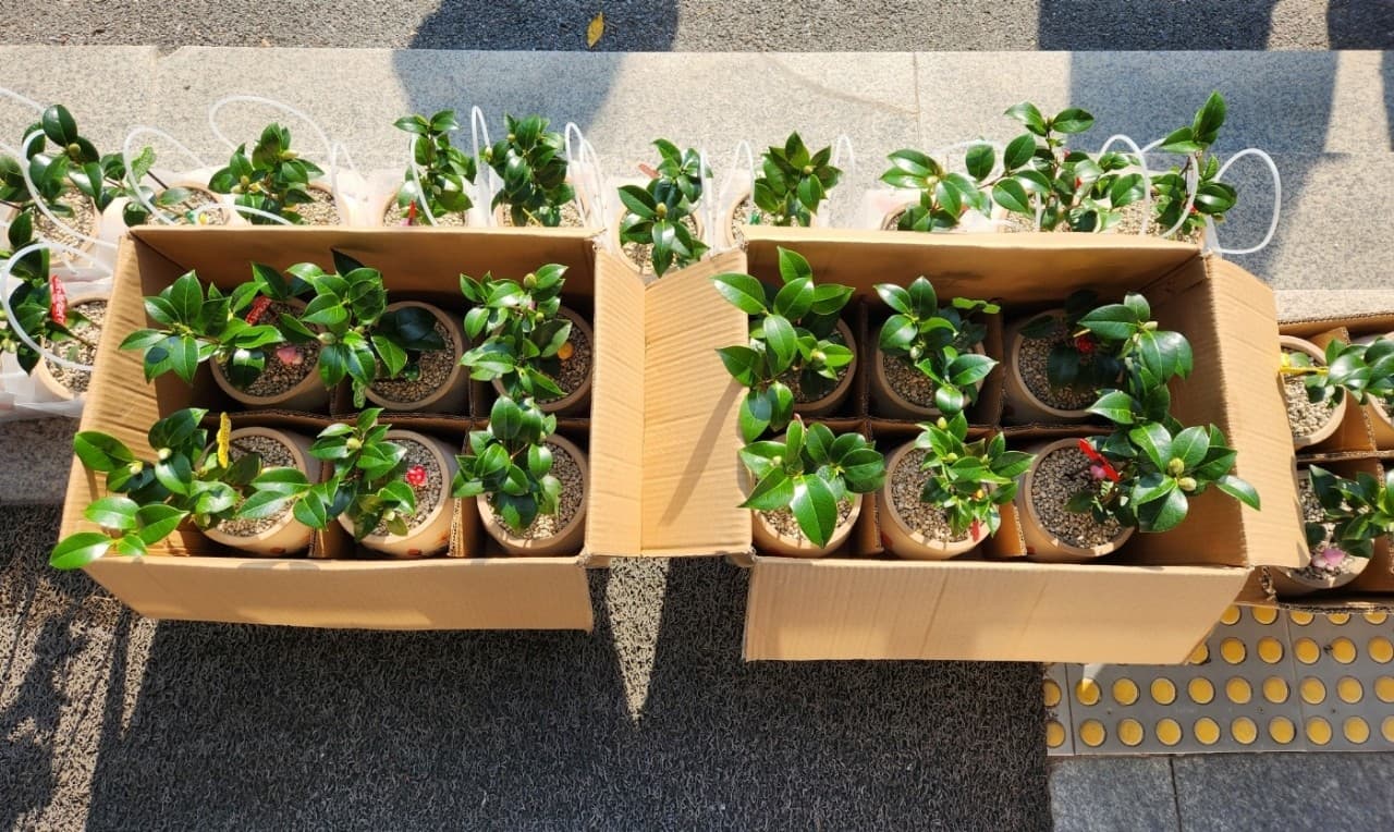 황연동 ‘내 방의 작은 정원’,
반려식물 키우기 사업 4차 전개