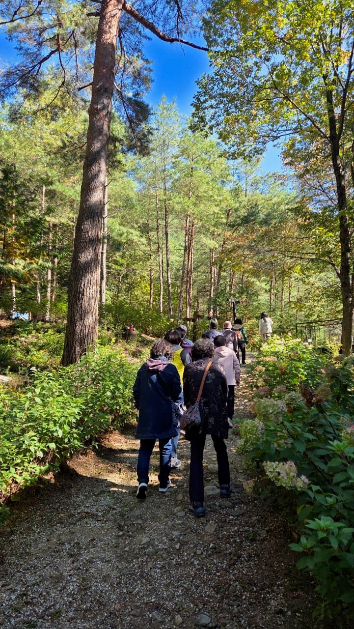 태백시, 치매환자·보호자 야외치유 프로그램 운영