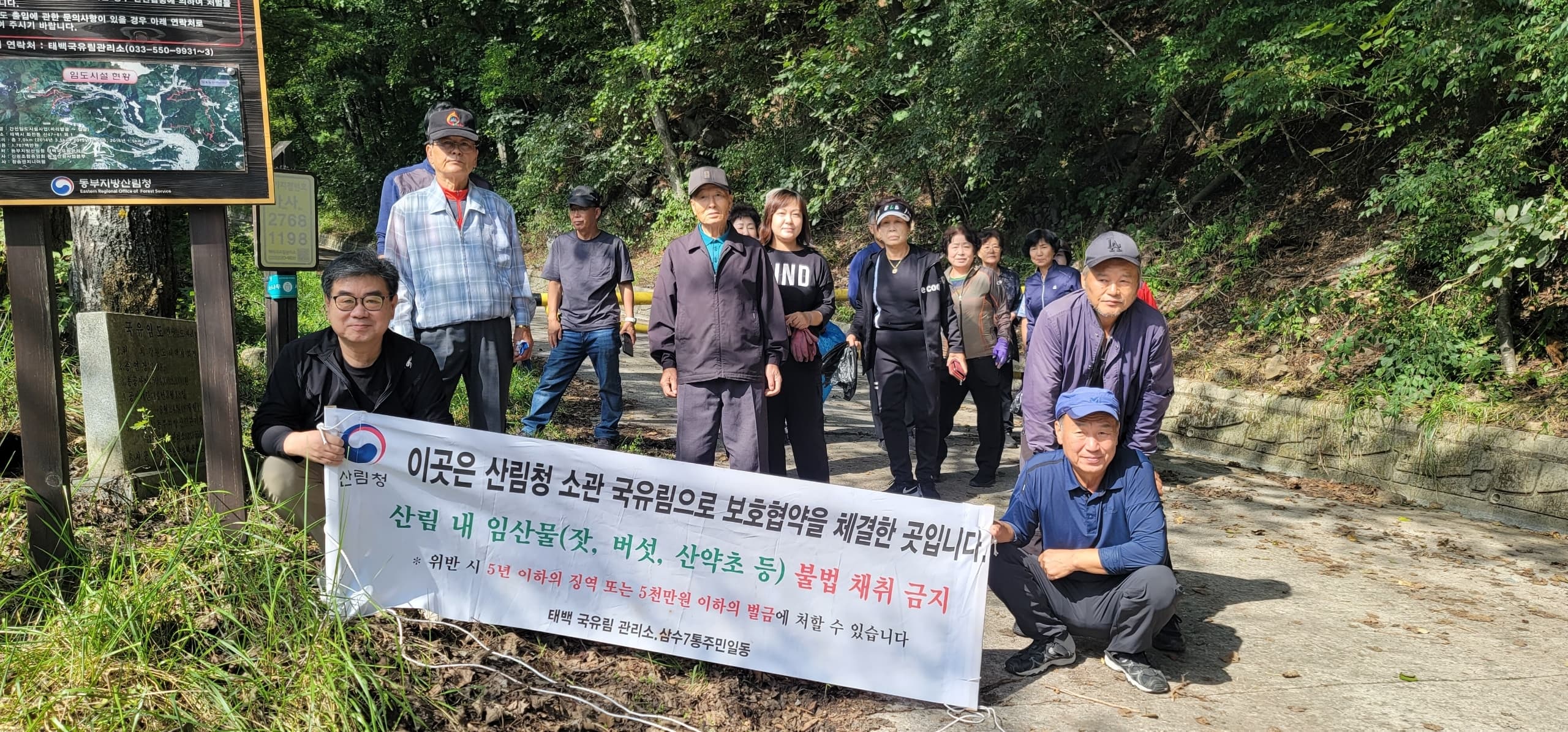 삼수동 7통 주민, 태백국유림관리소와
임산물 불법채취 금지 캠페인 실시
