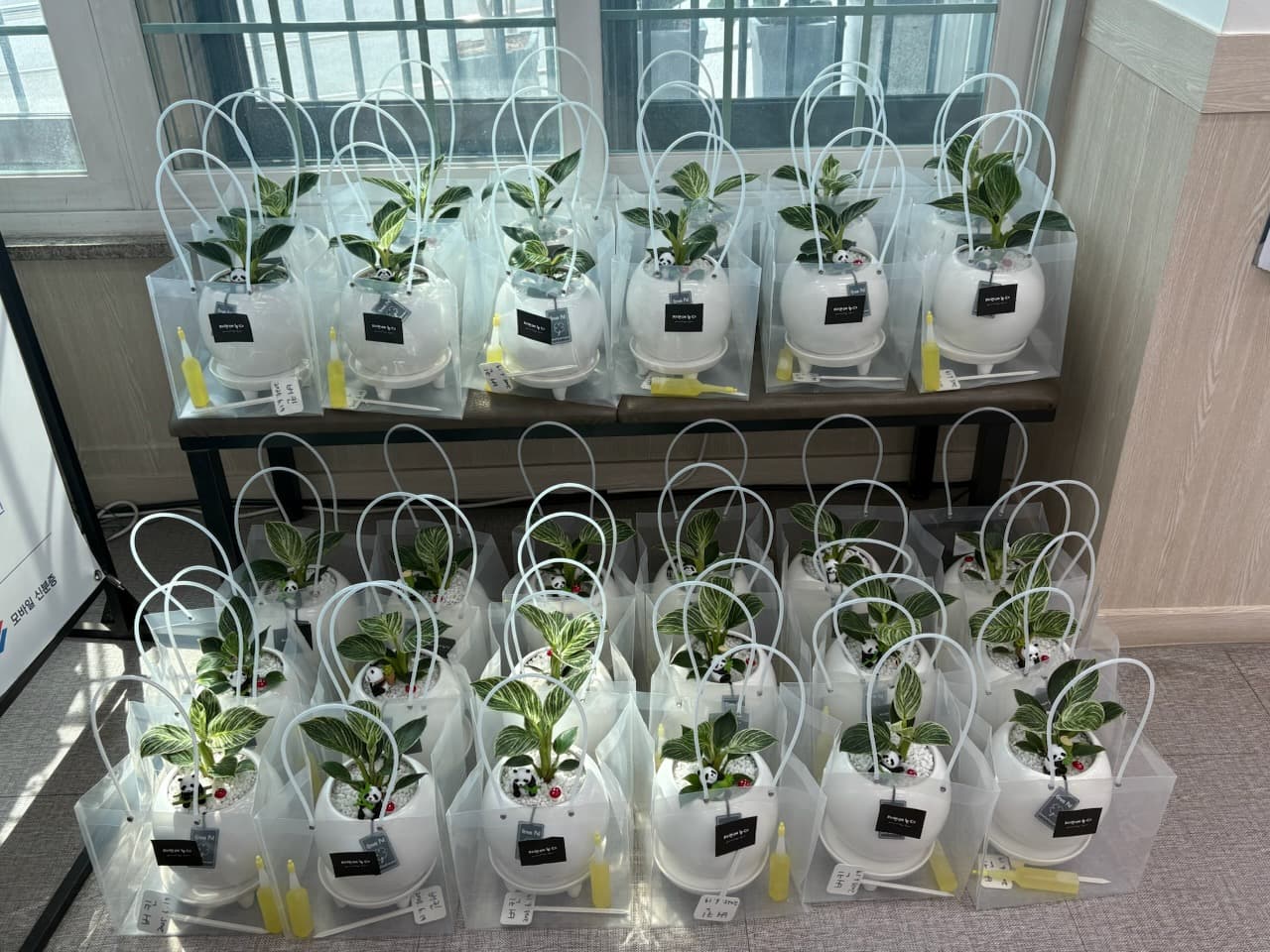 황연동 행정복지센터, 반려식물 키우기 사업(2차) 추진