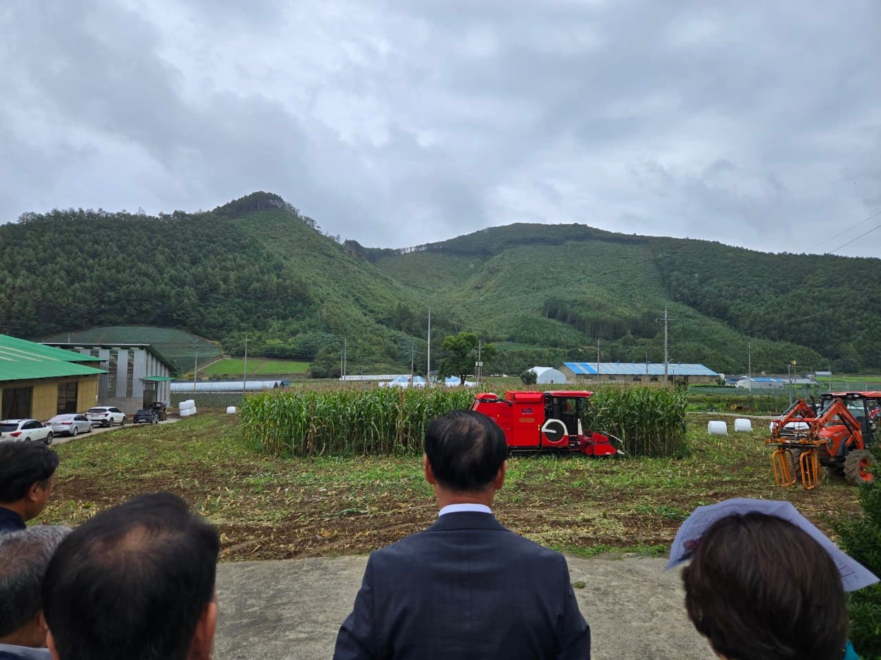 태백시립도서관, ‘필사 챌린지’ 운영
